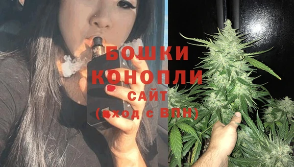 шишки Бугульма