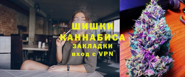 тгк Шали