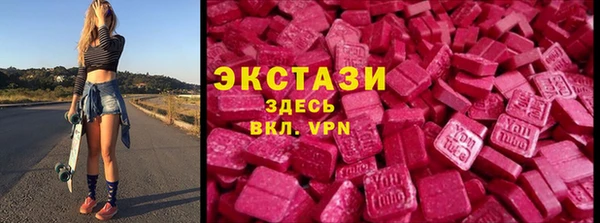 молекула духа Богданович