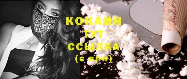 шишки Бугульма