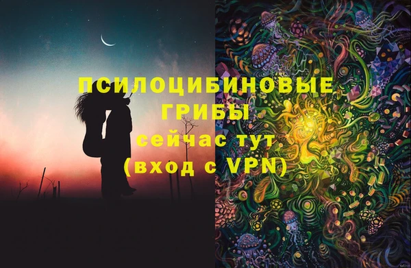 мдма Бородино